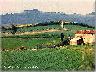 La Luna estate 2004, panorama (Lastra a Signa) (imm. 16 di 26)