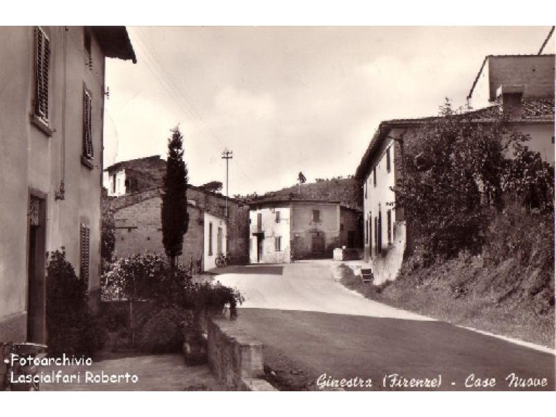 Ginestra fiorentina 1950 | Lastra a Signa