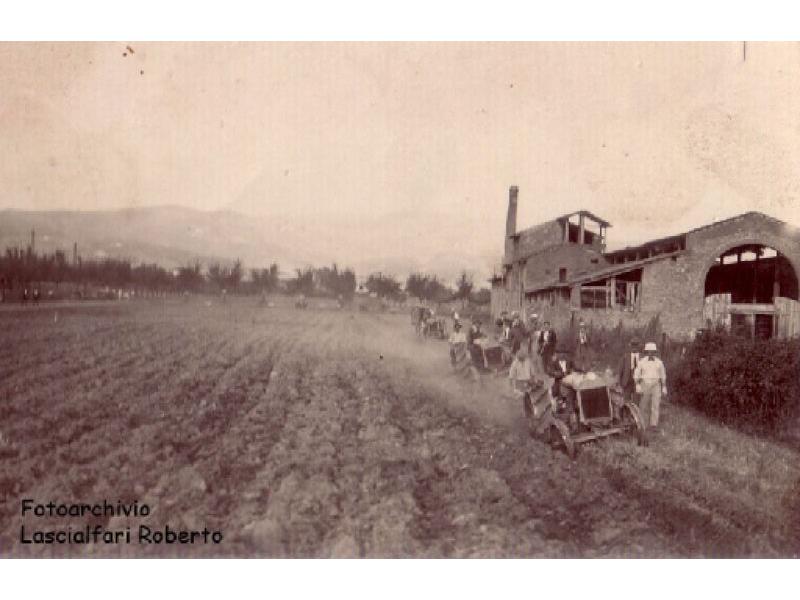 Industria della paglia, la semina 1900