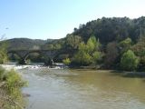 Arno, località Camaioni  (Montelupo Fiorentino 2005)