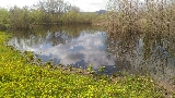 Lastra a Signa,Parco fluviale, 18 agosto 2018