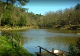 Lago Pucci, collina di Bellosguardo, anno 90 XX sec.